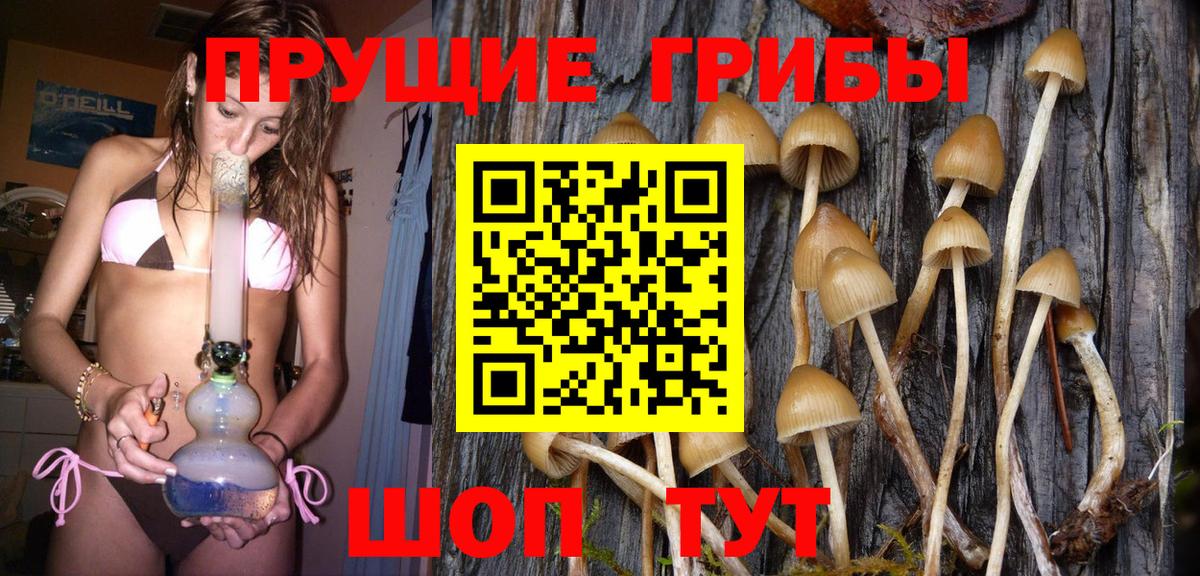 Омск  Псилоцибиновые грибы мухоморы  Псилоцибиновые грибы мухоморы  Вход с VPN 